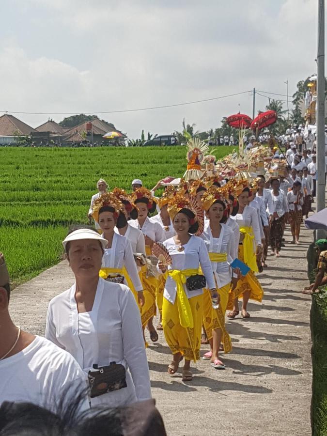 Yogi Homestay Canggu Esterno foto