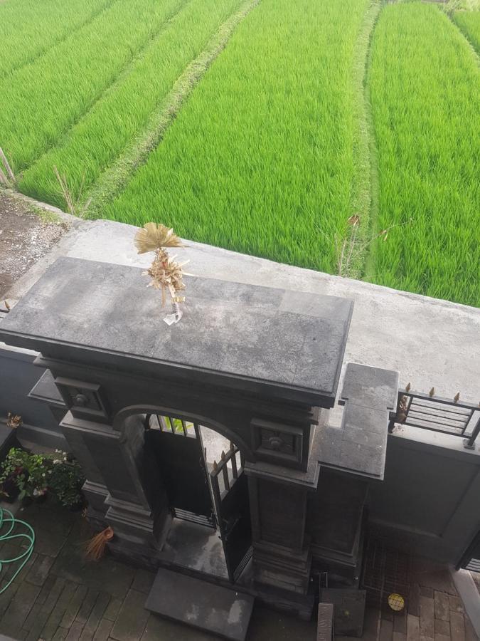 Yogi Homestay Canggu Esterno foto
